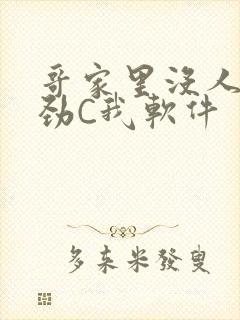 哥家里没人使点劲C我软件