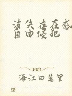 消失存在感消失自由侵犯