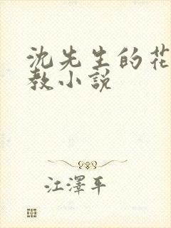 沈先生的花式管教小说