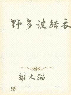 野多波结衣