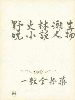 野火林潮生林晚晚小说人物野火