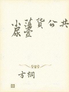 小荡货公共精厕尿壶