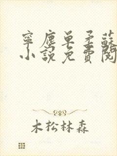 宁尘单柔苏千雪小说免费阅读最新