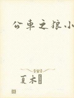 公车之狼小说