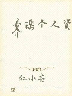 童瑶个人资料简介