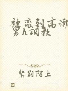 被脔到高潮的直男h调教