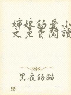 婶娘的爱小说全文免费阅读