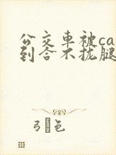 公交车被cao到合不拢腿视频