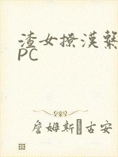 渣女撩汉系统NPC