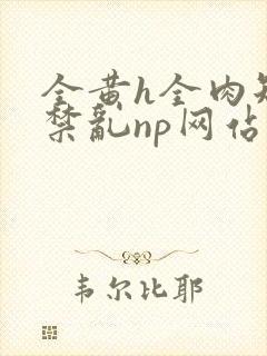 全黄h全肉短篇禁乱np网站