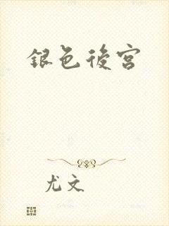 银色后宫