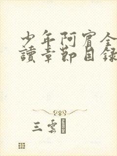 少年阿宾全文阅读章节目录