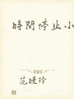 时间停止小说