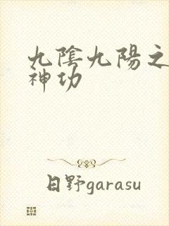 九阴九阳之阴阳神功