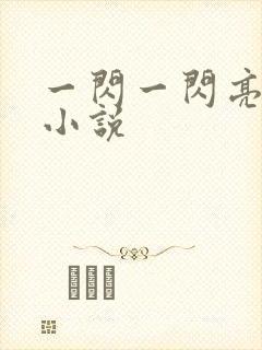 一闪一闪亮星星小说