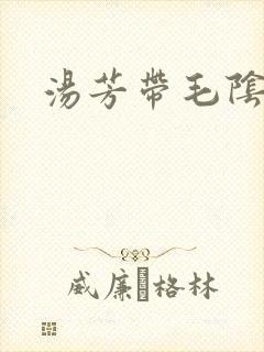 汤芳带毛阴部