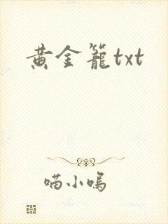 黄金笼txt