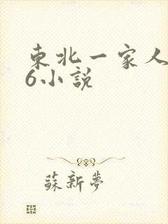 东北一家人1一6小说