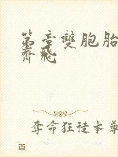 第章双胞胎姐妹齐飞