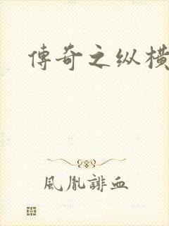 传奇之纵横玛法