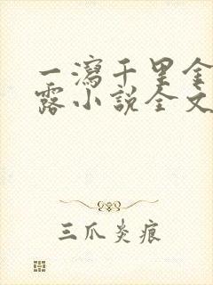 一泻千里金银花露小说全文免费阅读