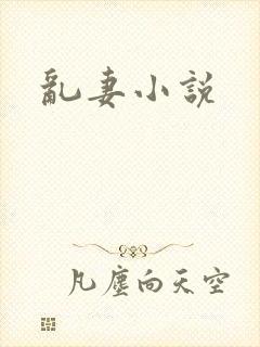 乱妻小说