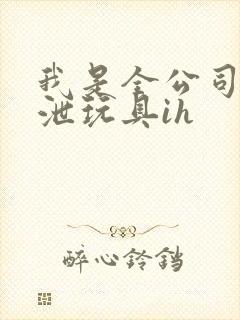 我是全公司的发泄玩具ih