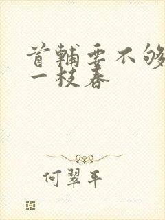 首辅要不够po一枝春