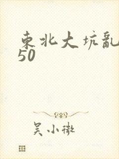 东北大坑乱1—50