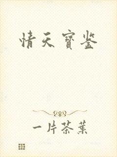 情天宝鉴