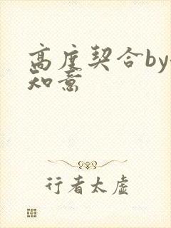 高度契合by洛知意