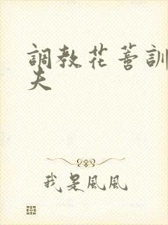 调教花蒂训诫从夫