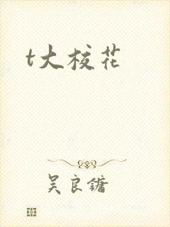 t大校花