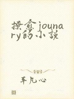 撩愈jounary的小说