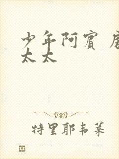 少年阿宾 房东太太