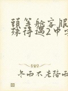 头等舱客服的特殊待遇2中字