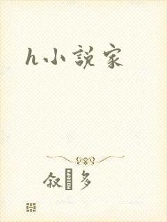 h小说家