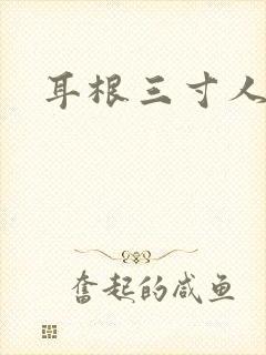 耳根三寸人间