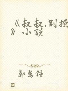 《叔叔,别撩我》小说