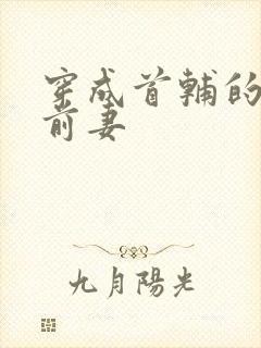 穿成首辅的炮灰前妻