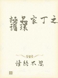 极品家丁之因果循环