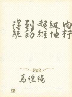 得到超级肉禽系统的维他柠檬茶