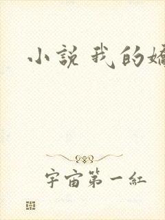 小说 我的娇妻