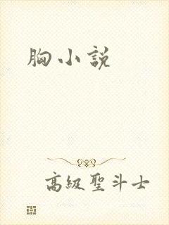 胸小说