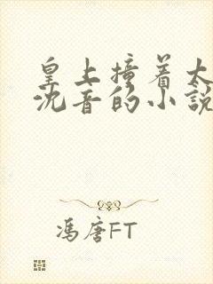 皇上撞着太子妃沈音的小说叫什么