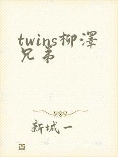 twins柳泽兄弟