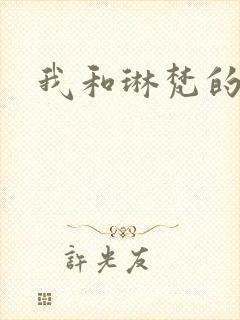 我和琳梵的故事