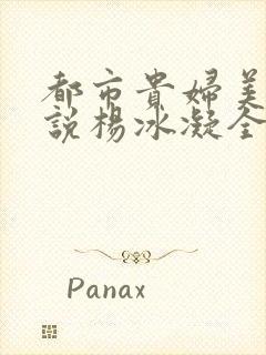 都市贵妇美腿小说杨冰凝全文阅读