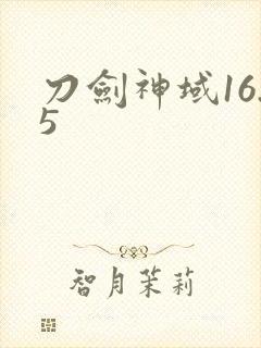 刀剑神域16.5