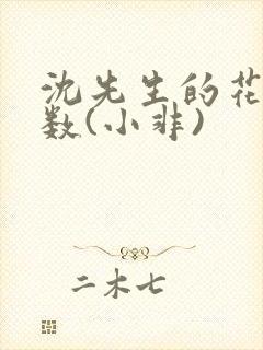 沈先生的花式调数(小非)